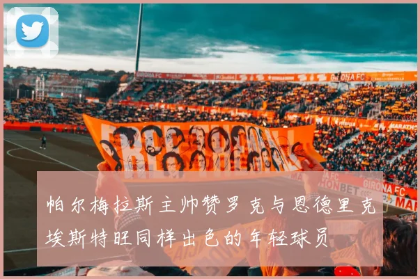 帕尔梅拉斯主帅赞罗克与恩德里克埃斯特旺同样出色的年轻球员