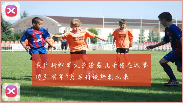 武什科维奇父亲透露儿子将在汉堡待至明年6月后再谈热刺未来