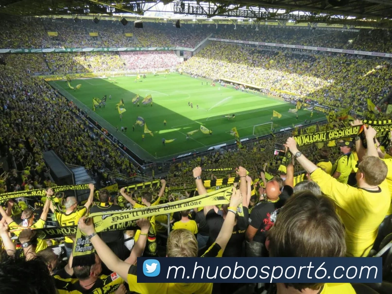 火博体育APP 封面图